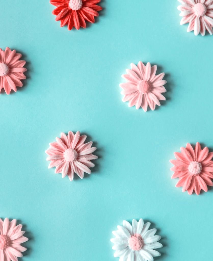 Lorem ipsum dolor sit amet, consectetur adi pisicing elit, sed do eiusmod tempor incididunt ut labore et dolore magna aliqua. Ut enim ad minim veniam, quis exercitation ullamco