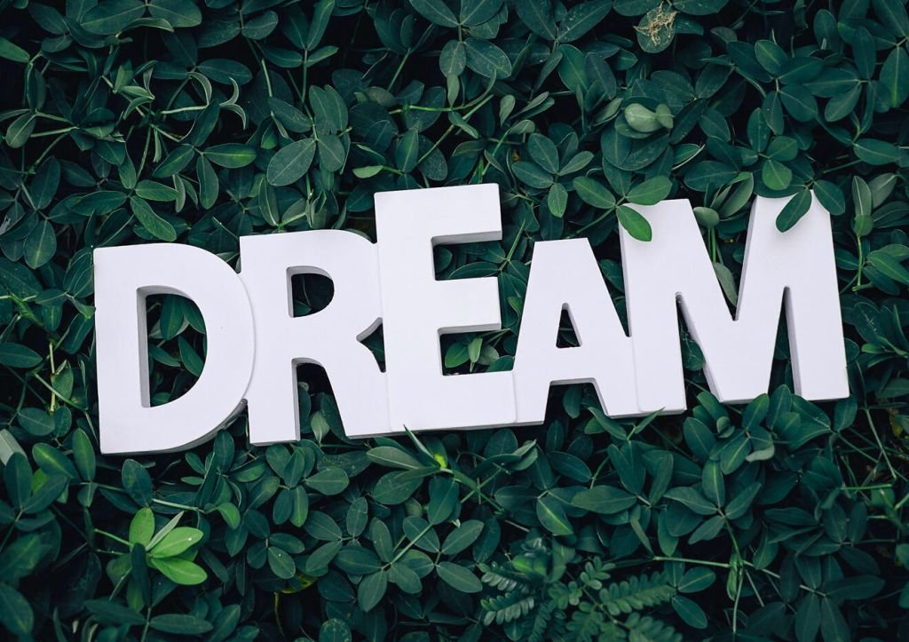 Lorem ipsum dolor sit amet, consectetur adi pisicing elit, sed do eiusmod tempor incididunt ut labore et dolore magna aliqua. Ut enim ad minim veniam, quis exercitation ullamco